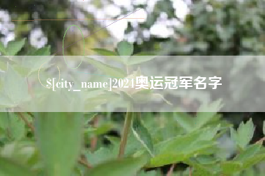 阿拉尔2024奥运冠军名字