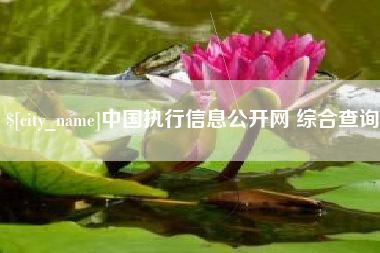 阿拉尔中国执行信息公开网 综合查询