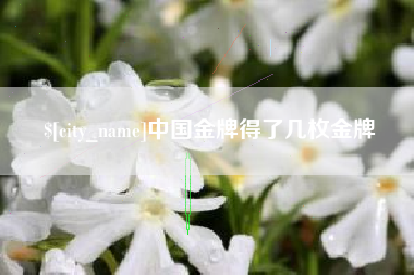 阿拉尔中国金牌得了几枚金牌
