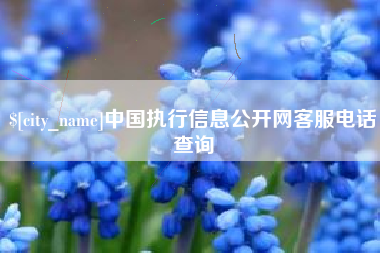 阿拉尔中国执行信息公开网客服电话查询