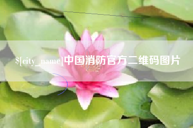 阿拉尔中国消防官方二维码图片