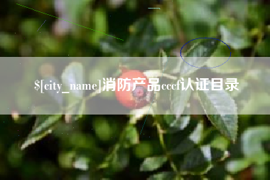 阿拉尔消防产品cccf认证目录