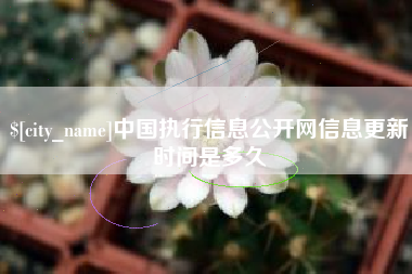 阿拉尔中国执行信息公开网信息更新时间是多久