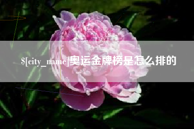 阿拉尔奥运金牌榜是怎么排的