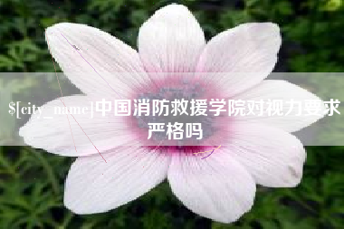 阿拉尔中国消防救援学院对视力要求严格吗