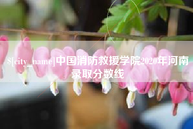 阿拉尔中国消防救援学院2020年河南录取分数线
