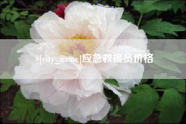 阿拉尔应急救援员价格