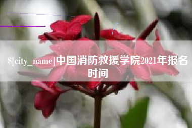 阿拉尔中国消防救援学院2021年报名时间