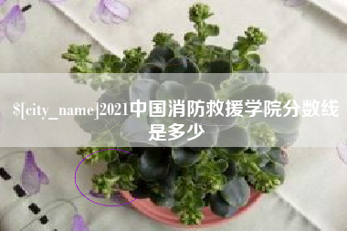 阿拉尔2021中国消防救援学院分数线是多少