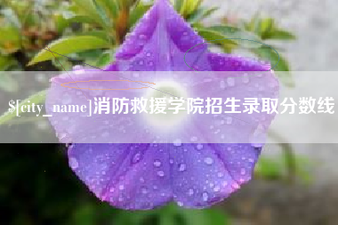 阿拉尔消防救援学院招生录取分数线