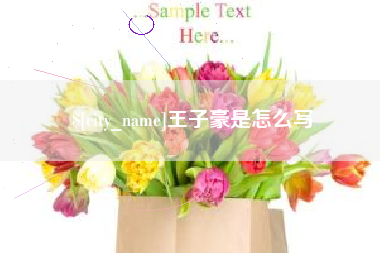 阿拉尔王子豪是怎么写