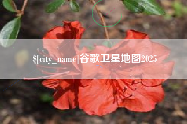 阿拉尔谷歌卫星地图2025