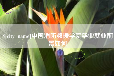 阿拉尔中国消防救援学院毕业就业前景如何