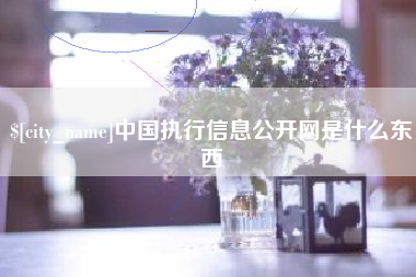 阿拉尔中国执行信息公开网是什么东西
