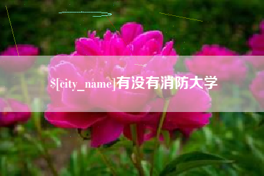阿拉尔有没有消防大学