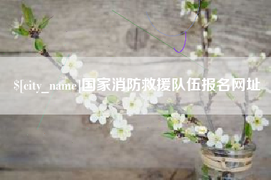 阿拉尔国家消防救援队伍报名网址