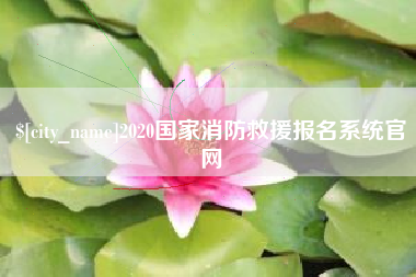 阿拉尔2020国家消防救援报名系统官网