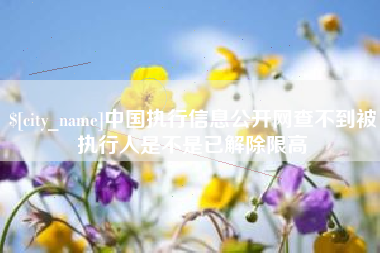 阿拉尔中国执行信息公开网查不到被执行人是不是已解除限高
