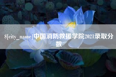 阿拉尔中国消防救援学院2021录取分数