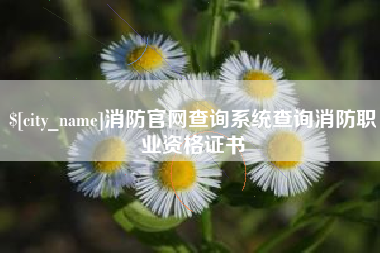 阿拉尔消防官网查询系统查询消防职业资格证书