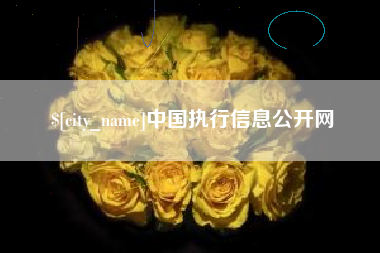 阿拉尔中国执行信息公开网