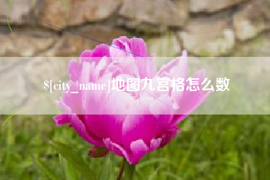阿拉尔地图九宫格怎么数