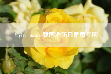 阿拉尔我国消防日是每年的