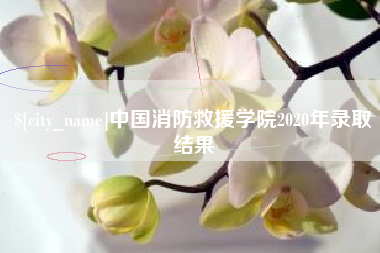 阿拉尔中国消防救援学院2020年录取结果