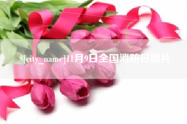 阿拉尔11月9日全国消防日图片