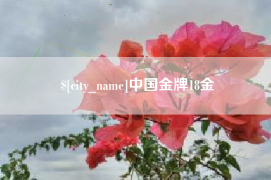 阿拉尔中国金牌18金