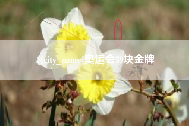 阿拉尔奥运会39块金牌
