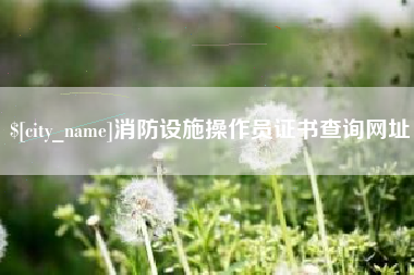 阿拉尔消防设施操作员证书查询网址