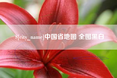 阿拉尔中国省地图 全图黑白