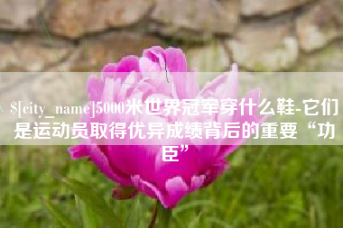 阿拉尔5000米世界冠军穿什么鞋-它们是运动员取得优异成绩背后的重要“功臣”