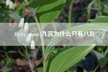 阿拉尔九宫为什么只有八卦