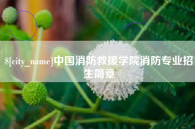 阿拉尔中国消防救援学院消防专业招生简章