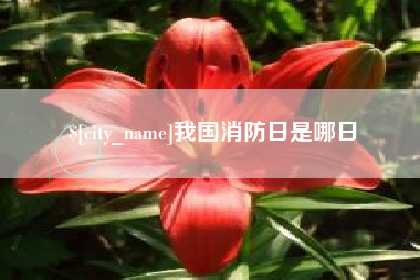 阿拉尔我国消防日是哪日