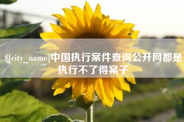 阿拉尔中国执行案件查询公开网都是执行不了得案子