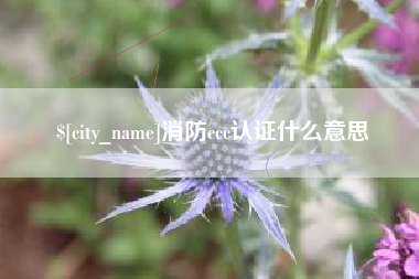 阿拉尔消防ccc认证什么意思