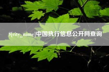 阿拉尔中国执行信息公开网查询