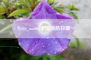 阿拉尔全国消防日哪一