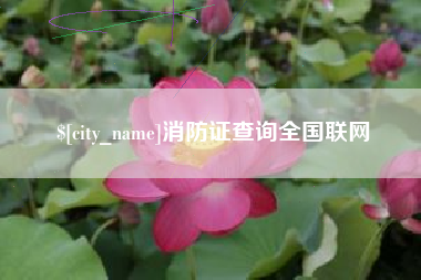 阿拉尔消防证查询全国联网