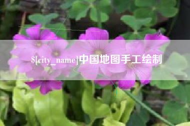 阿拉尔中国地图手工绘制