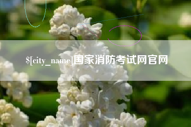 阿拉尔国家消防考试网官网