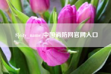 阿拉尔中国消防网官网入口