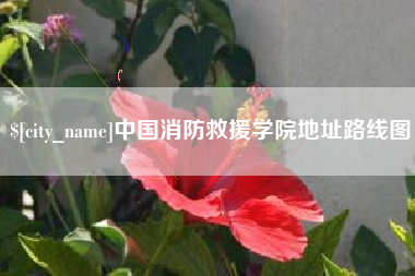 阿拉尔中国消防救援学院地址路线图