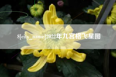 阿拉尔2022年九宫格飞星图