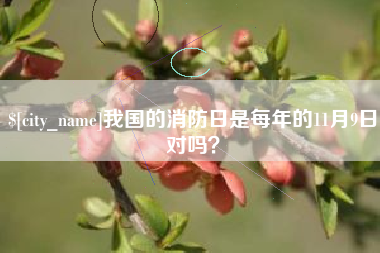 阿拉尔我国的消防日是每年的11月9日对吗？