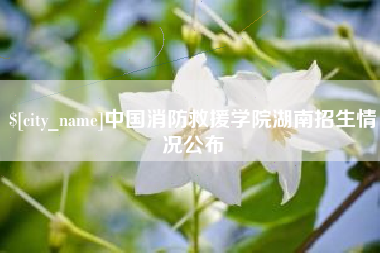 阿拉尔中国消防救援学院湖南招生情况公布