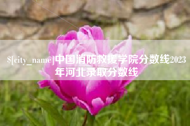 阿拉尔中国消防救援学院分数线2023年河北录取分数线